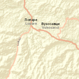 Lopare Street Map