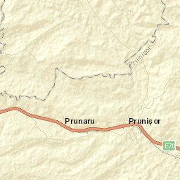 Comuna Prunişor Street Map
