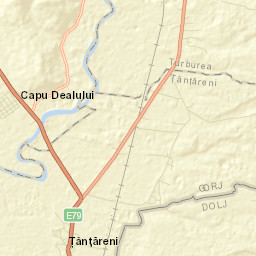 Florești Street Map