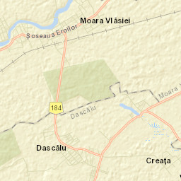 Dascălu Street Map