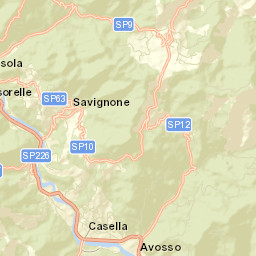 Savignone Street Map