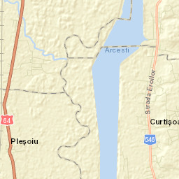 Curtişoara Street Map