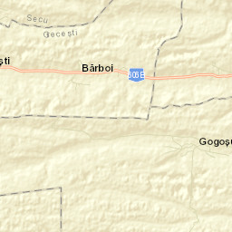 Gogoşu Street Map