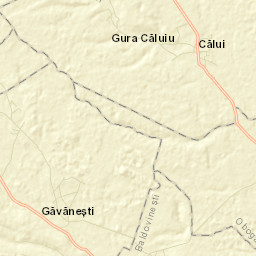 Găvănești Street Map
