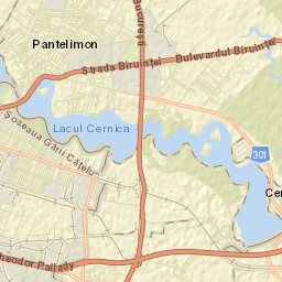Pantelimon Street Map