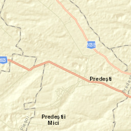 Predeşti Street Map