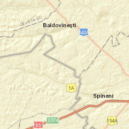 Baldovineşti Street Map