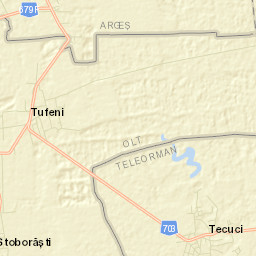 Tecuci Street Map