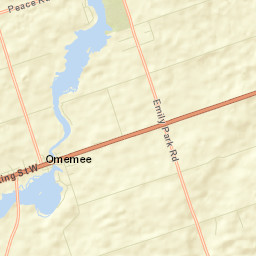 Omemee Street Map
