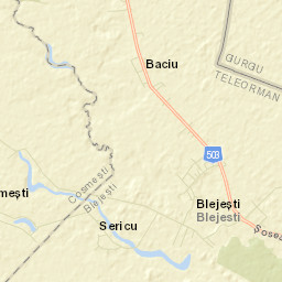 Baciu Street Map