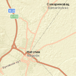 Negotin Street Map