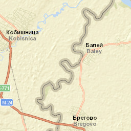 Bregovo Street Map