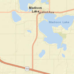 Madison Lake Street Map