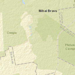 Mihai Bravu Street Map