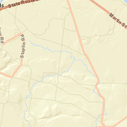 Champion New York Street Map