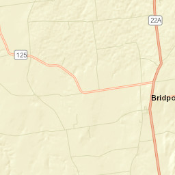 Bridport Street Map