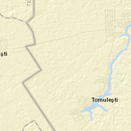 Toporu Street Map
