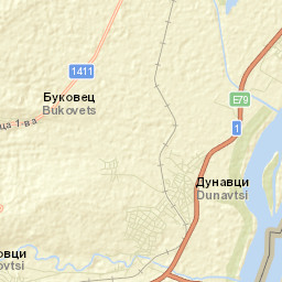 Dunavtsi Street Map