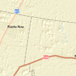 Negoi Street Map