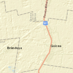 Goicea Street Map