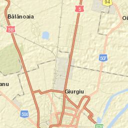 Remuș Street Map