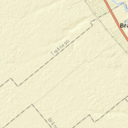 Brânceni Street Map