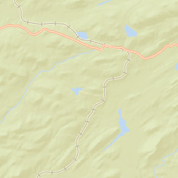 Big Moose New York Street Map