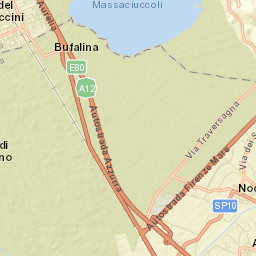 Torre del Lago Puccini Street Map