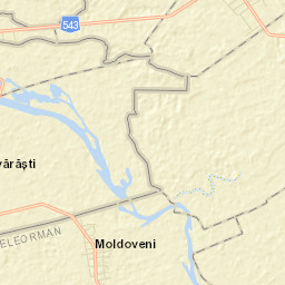 Moldoveni Street Map