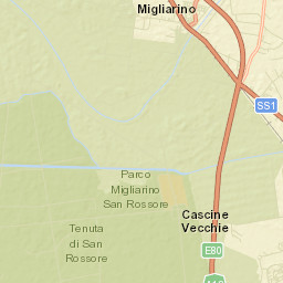 Migliarino Street Map