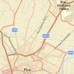 Pisa Street Map