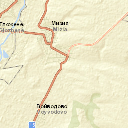 Mizia Street Map