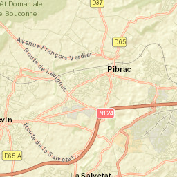 Pibrac Street Map