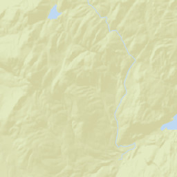 Hogtown New York Street Map