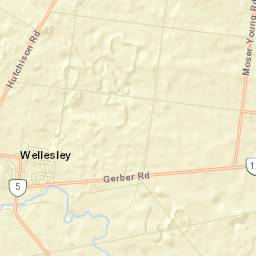 Wellesley Street Map