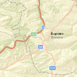 Borovo Street Map