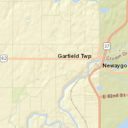 Newaygo Street Map
