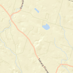 Florence New York Street Map