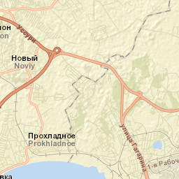 Novyy Street Map