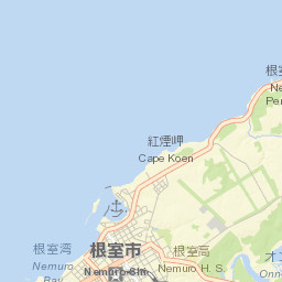 Nemuro-shi Street Map