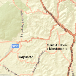 Viale Curtatone, 19-27, 53100 Sienna, Italy Street Map