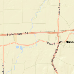 Williamson New York Street Map
