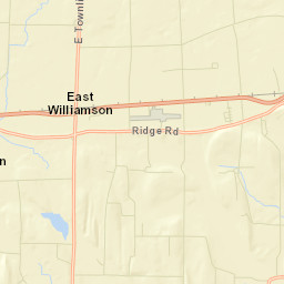 East Williamson New York Street Map