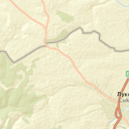 Lukovit Street Map