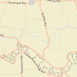 Rapids New York Street Map