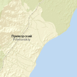 Primorskiy Street Map