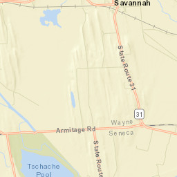 Savannah New York Street Map