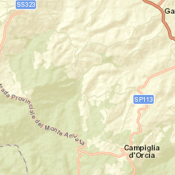 Castiglione d'Orcia Street Map