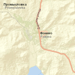 Fokino Street Map