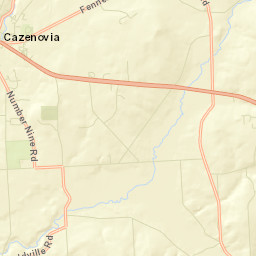 Nelson New York Street Map